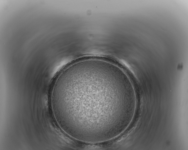 X0000090781307200707271540
