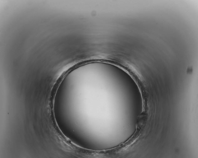 X0000090781308200707271540