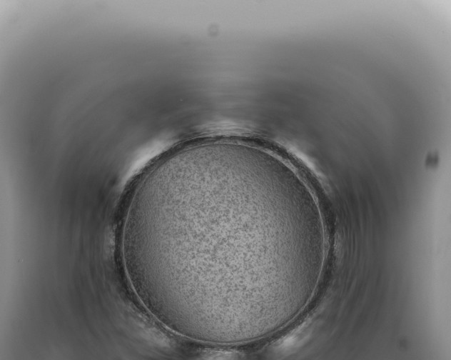 X0000090781309200707271540