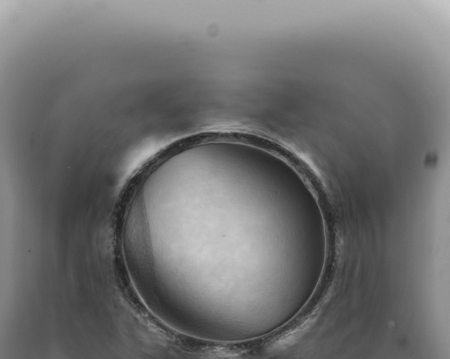 X0000090781311200707271540