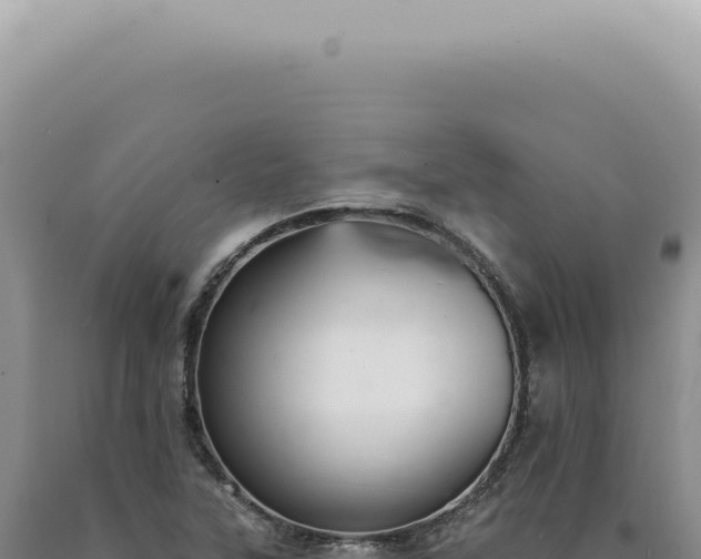 X0000090781315200707271540