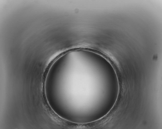 X0000090781316200707271540
