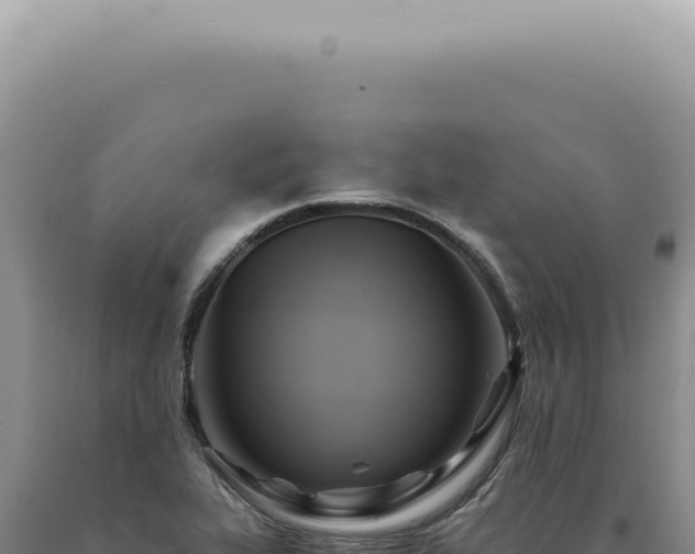 X0000090781319200707271540