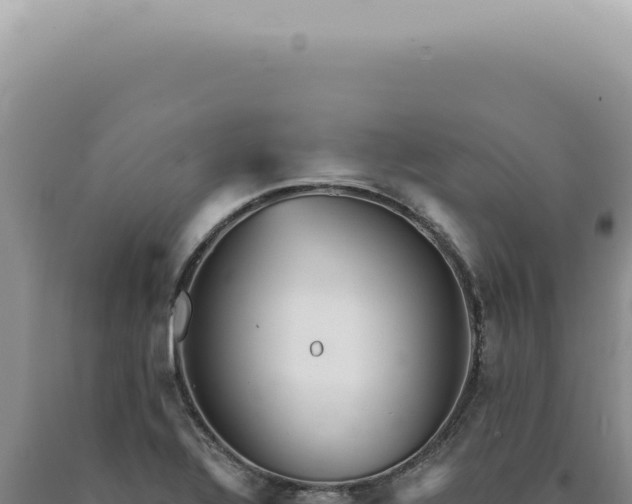 X0000090781320200707271540