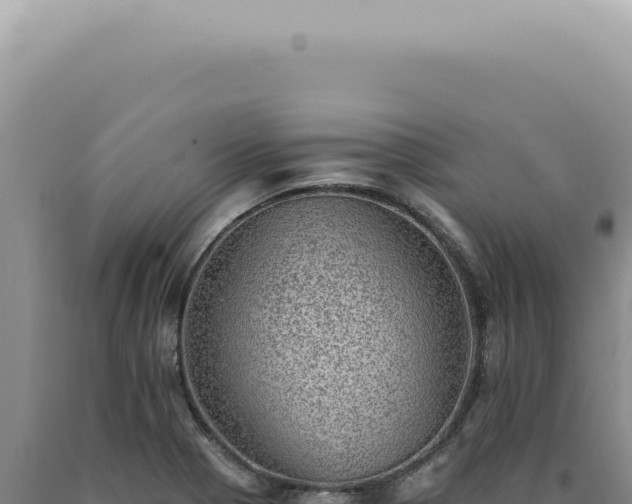 X0000090781321200707271540