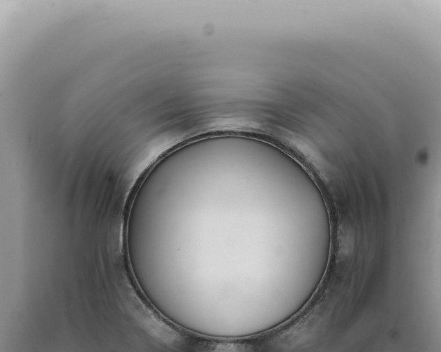 X0000090781322200707271540