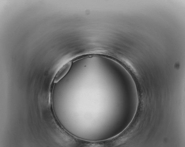 X0000090781324200707271540