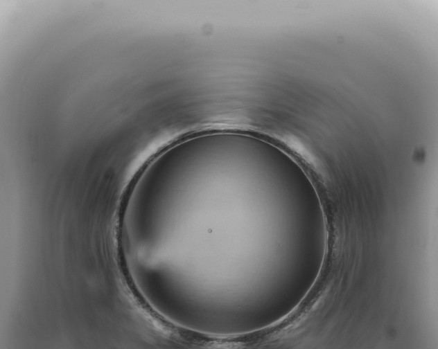 X0000090781325200707271540