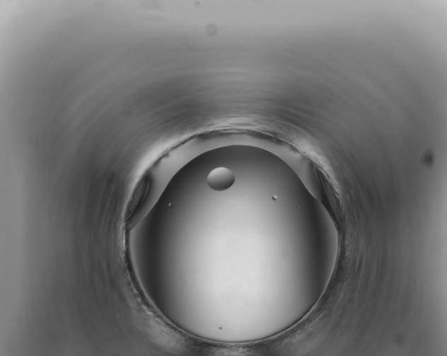 X0000090781328200707271540