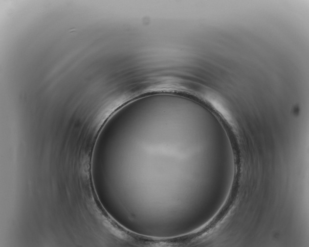 X0000090781329200707271540