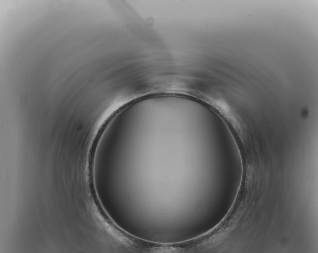 X0000090781331200707271540