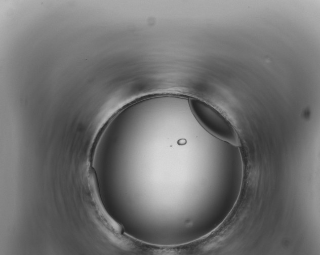 X0000090781332200707271540