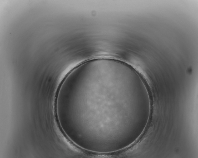 X0000090781333200707271540