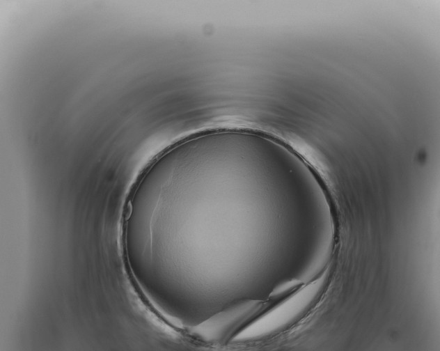 X0000090781334200707271540