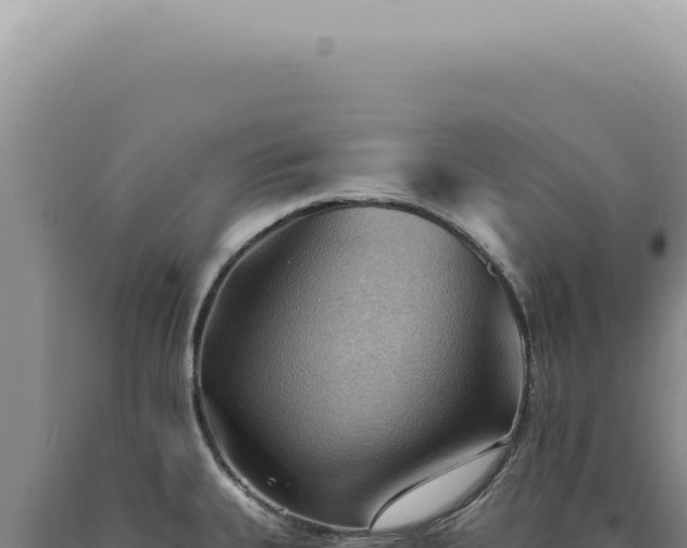 X0000090781335200707271540