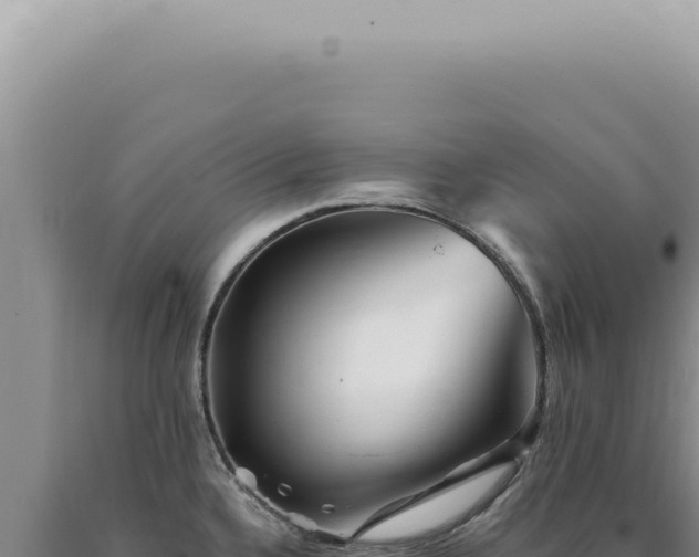 X0000090781336200707271540