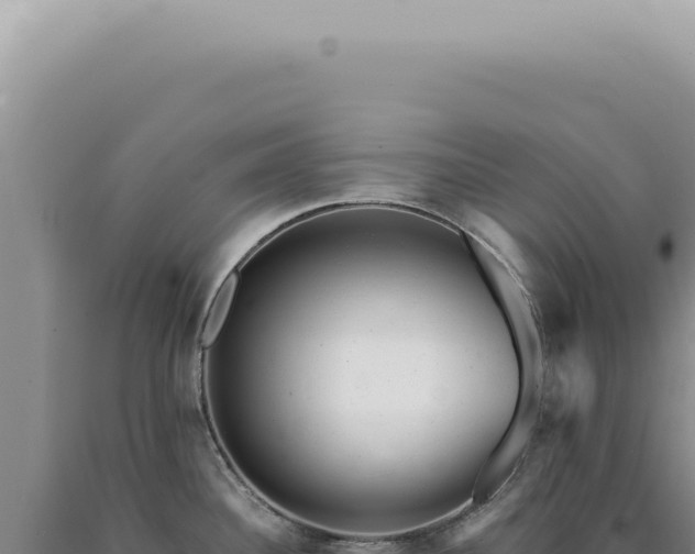 X0000090781340200707271540