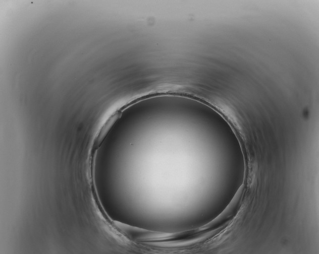X0000090781342200707271540