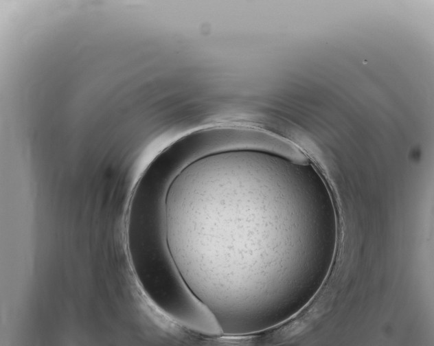 X0000090781344200707271541
