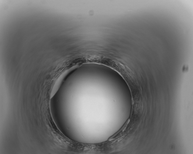 X0000090781345200707271540