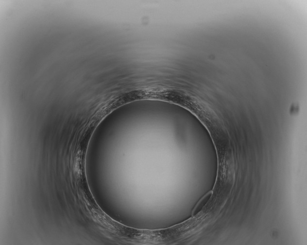 X0000090781346200707271540