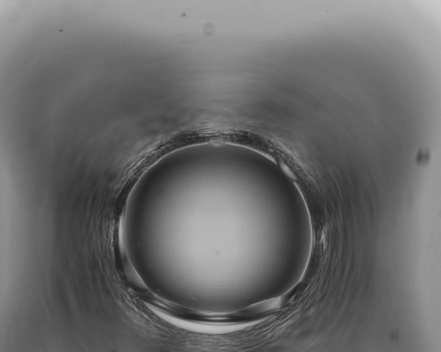 X0000090781348200707271540