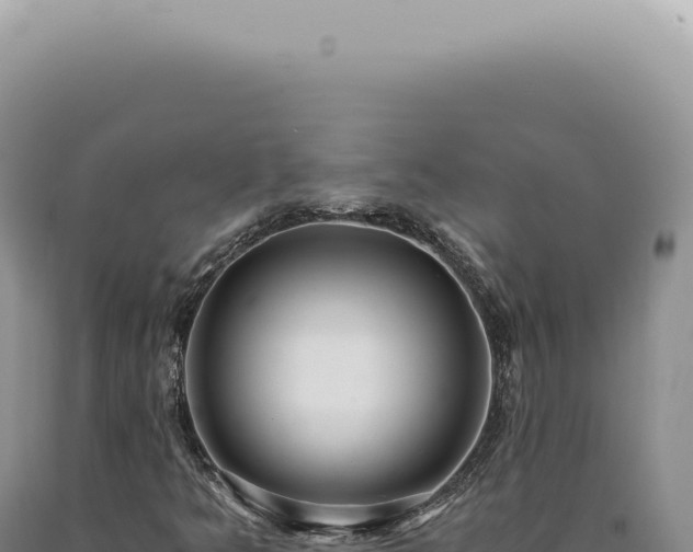 X0000090781349200707271540