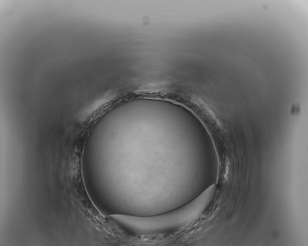 X0000090781350200707271540