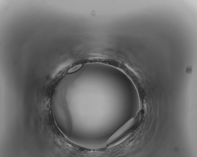 X0000090781351200707271540