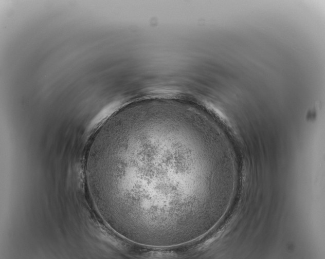 X0000090781354200707271540