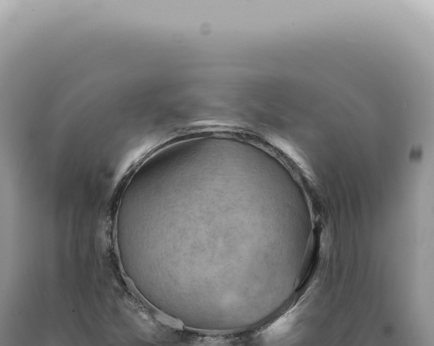 X0000090781357200707271540