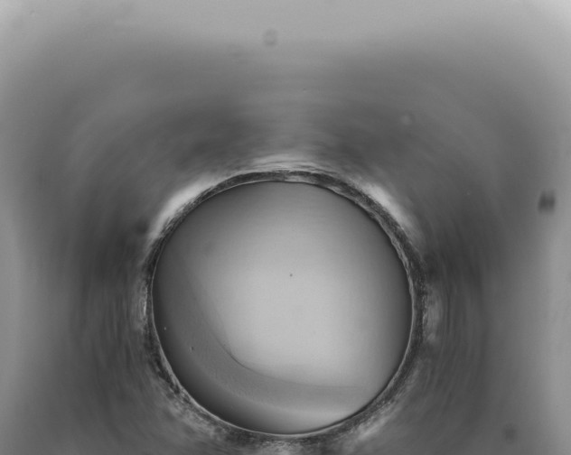 X0000090781358200707271540
