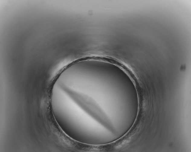 X0000090781359200707271540