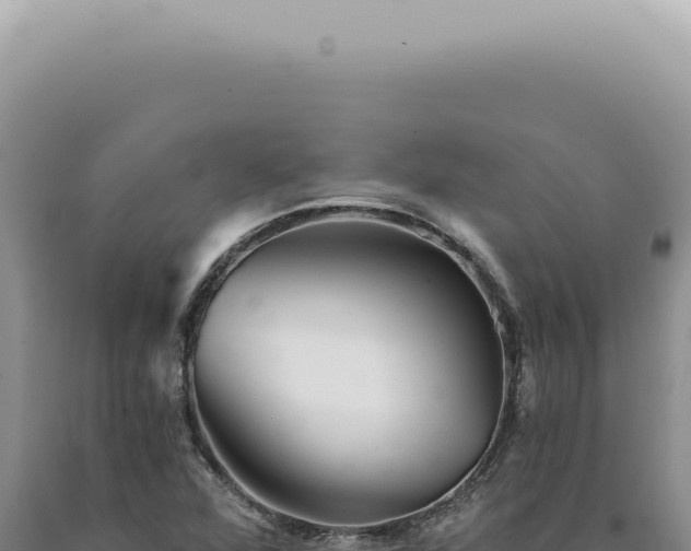 X0000090781360200707271540