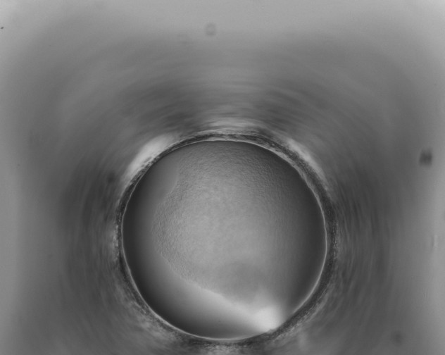 X0000090781362200707271540