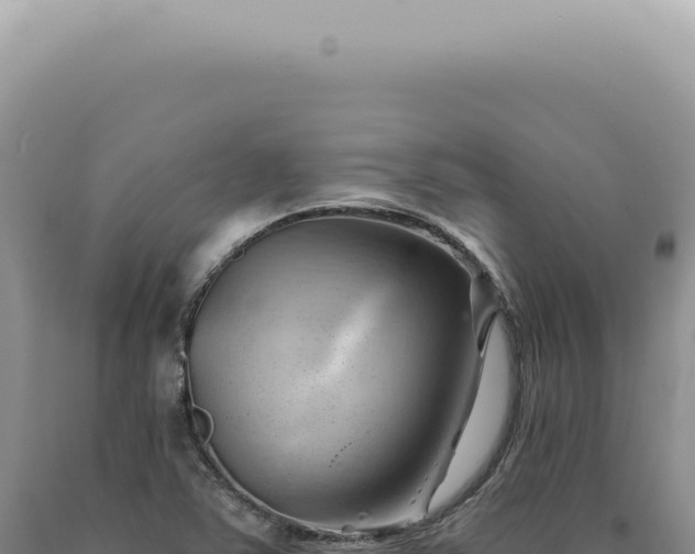 X0000090781363200707271540