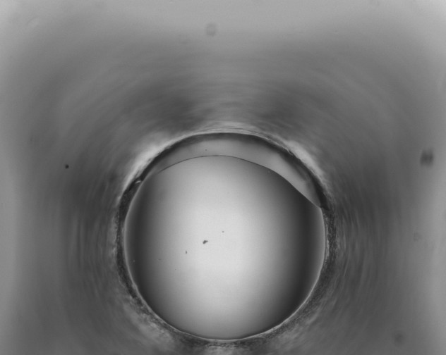 X0000090781364200707271539