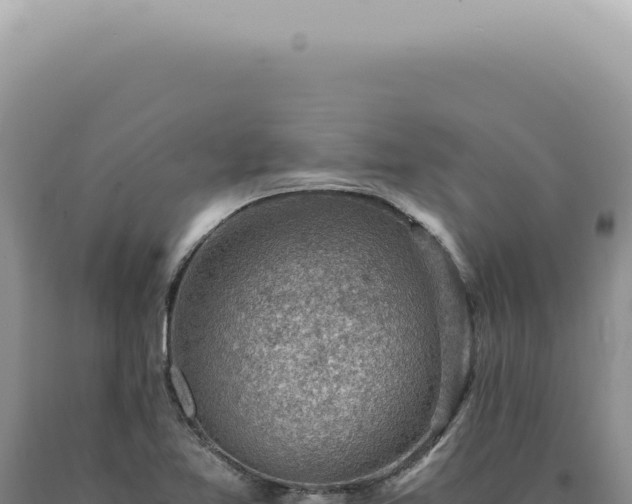 X0000090781365200707271539
