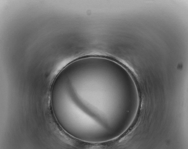 X0000090781367200707271539