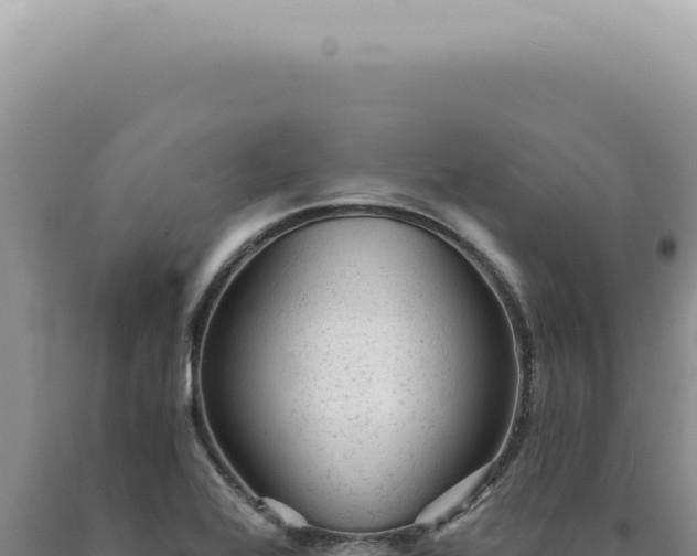 X0000090781368200707271539