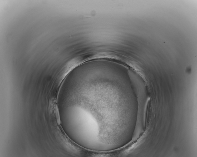 X0000090781369200707271539
