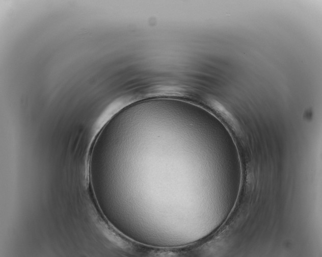 X0000090781370200707271539