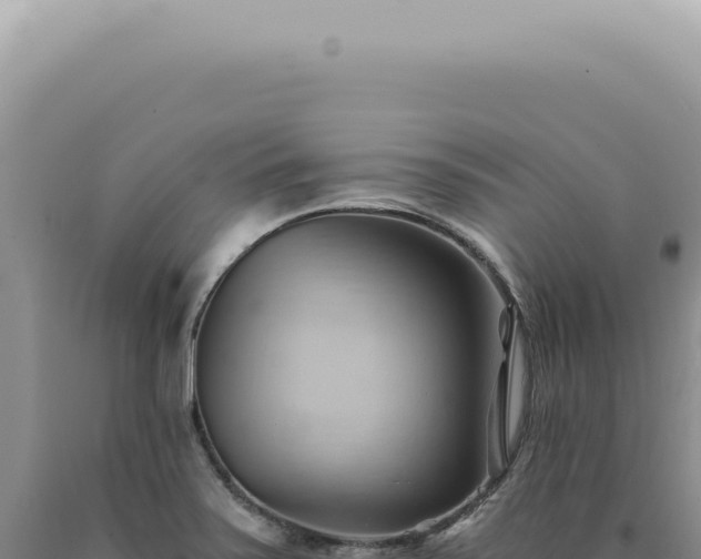 X0000090781371200707271539