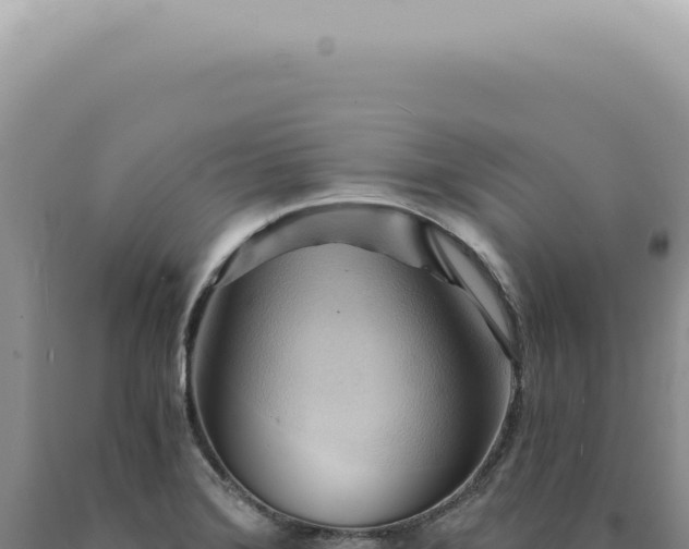 X0000090781372200707271539