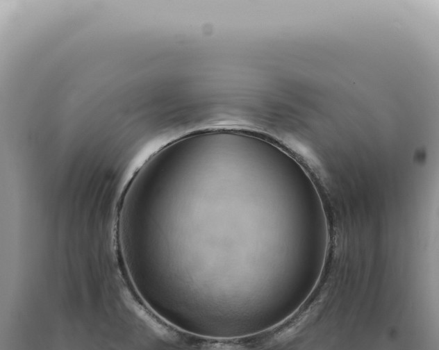 X0000090781374200707271539
