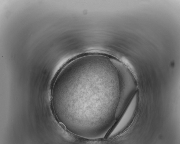 X0000090781376200707271539