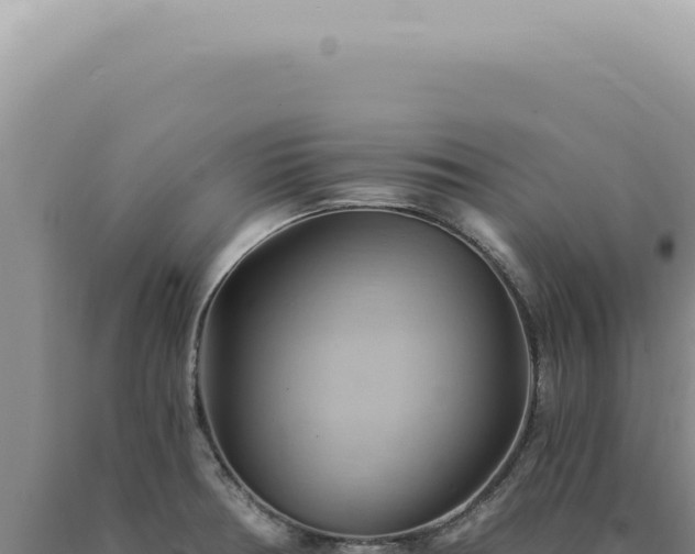 X0000090781378200707271539