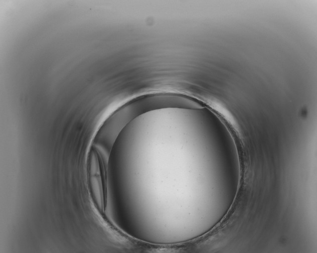 X0000090781380200707271539