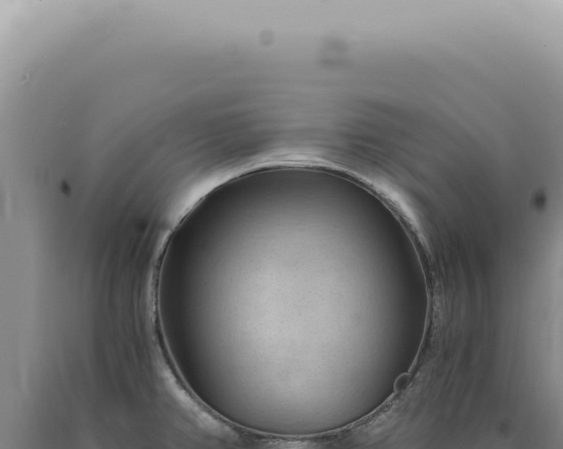 X0000090781382200707271539