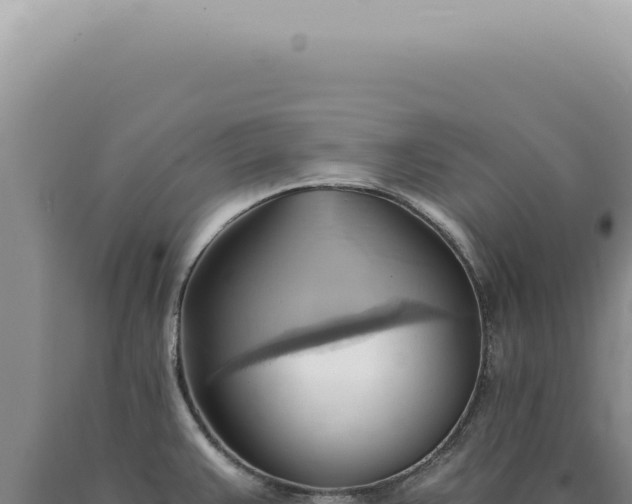 X0000090781383200707271539